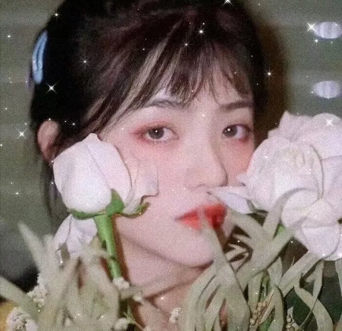 全缉毒狂潮