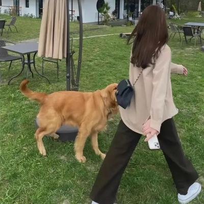 成功的秘密